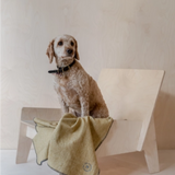 Dog Blanket, Mustard Herringbone - Small, TBCo