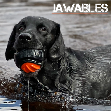 Tough Dog Ball - Jawables